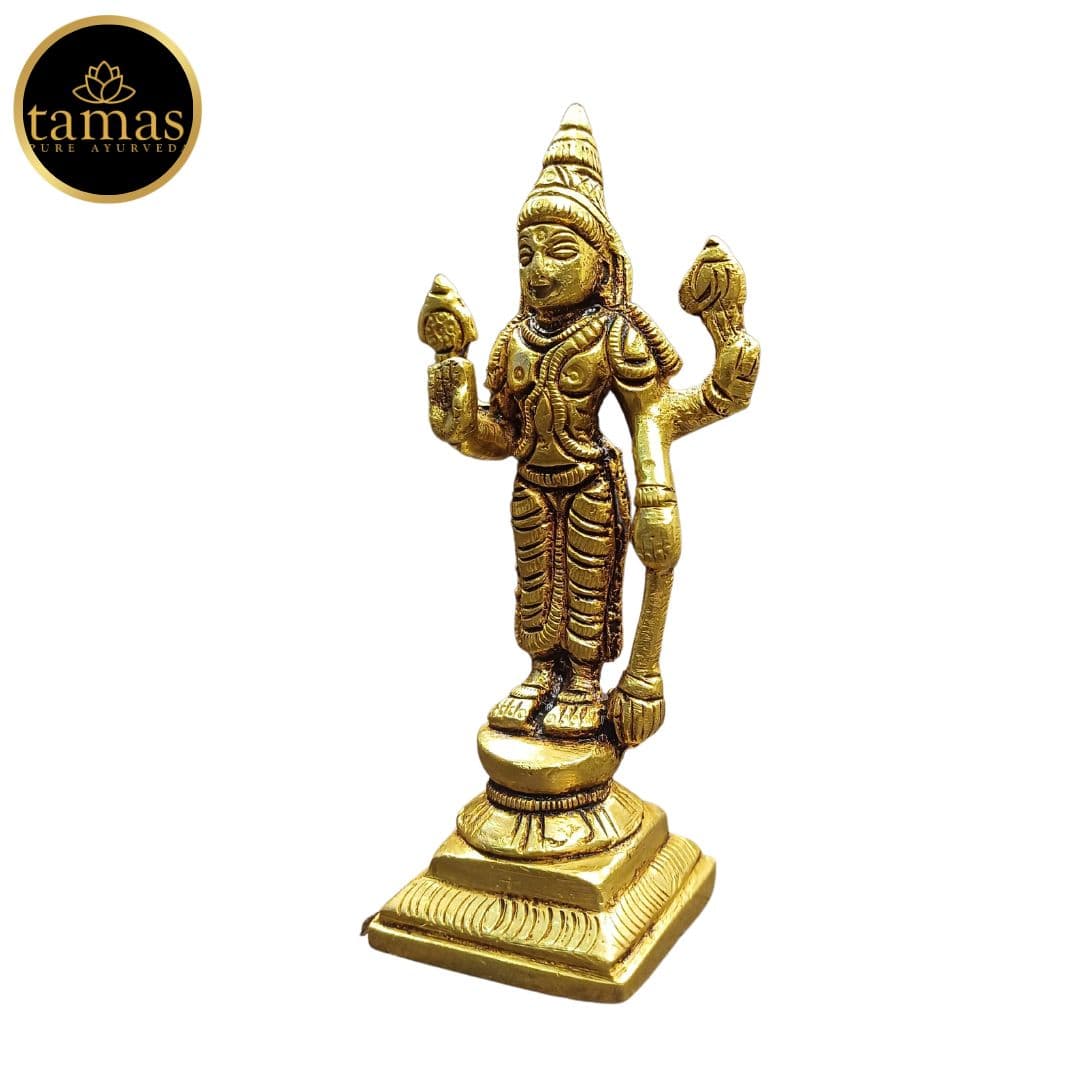 Tamas Brass  Lord Vishnu Statue
